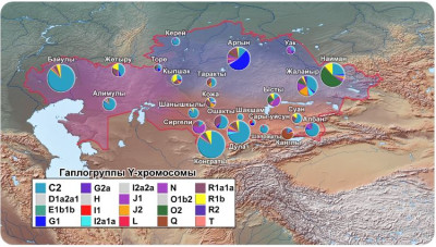 Казахи жузы по гаплогруппам.JPG