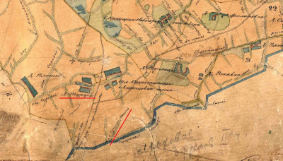 Гусиный лапок.jpg