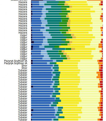 Admixture.JPG