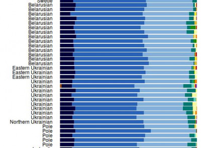 Admixture-3.JPG