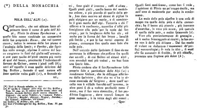 Pola ou Choucas.jpg