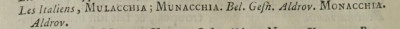 Munacchia.jpg