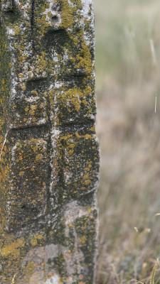IMG_8192.jpeg